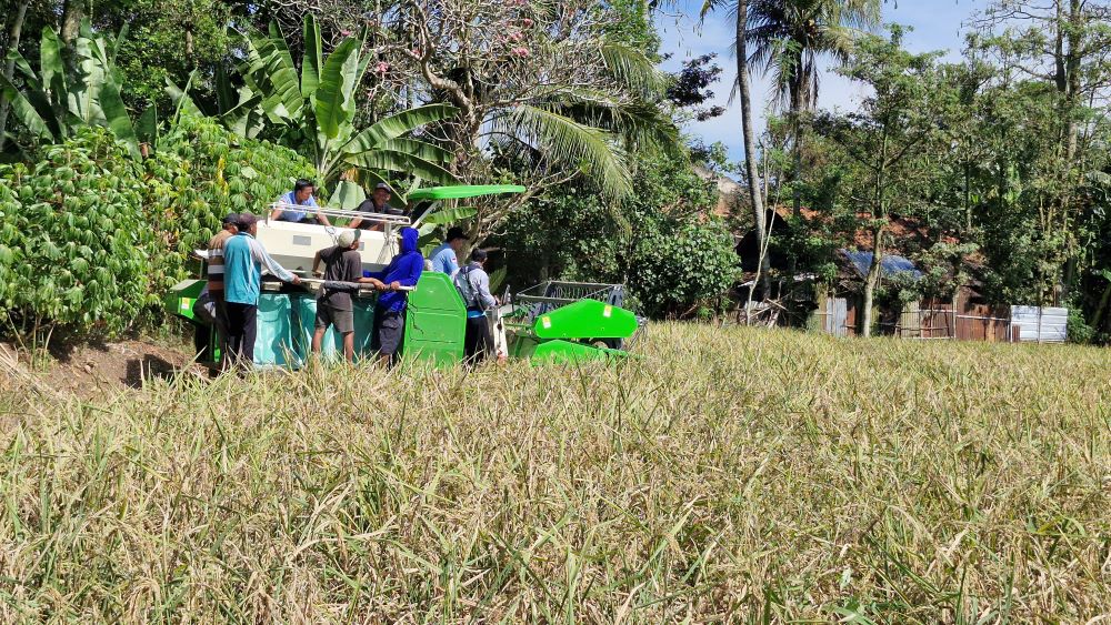 Kementan Klaim Perbaikan Irigasi Dongkrak Produksi, Swasembada Beras Kian Dekat