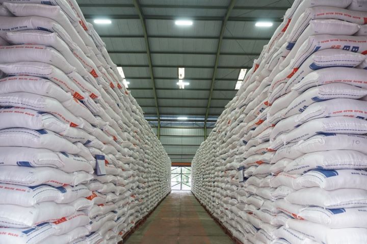 Bulog Perkuat Kendali Pangan Nasional, Serapan Gabah 2025 Cetak Rekor Tertinggi Sepanjang Sejarah