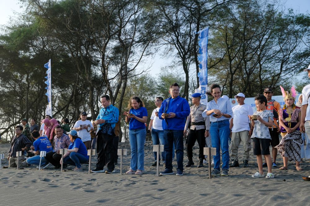 Kemenpar Gandeng Swasta, Konservasi Penyu di Bantul Diangkat Lewat Film Edukatif