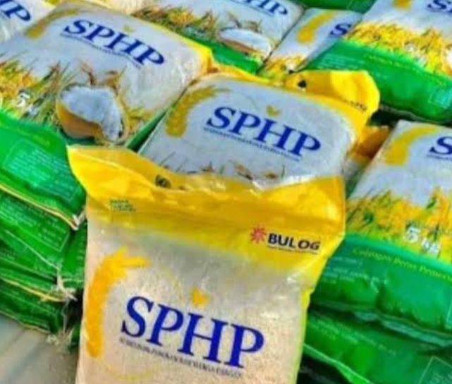 Stok Beras Tembus Rekor Baru, Pemerintah Perkuat Cadangan dan Dorong Hilirisasi Energi