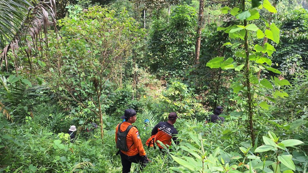 Hari Kedua, Pencarian Lansia Hilang di Hutan Pekuncen Belum Membuahkan Hasil