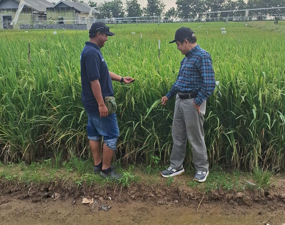 Unsoed Gandeng PT Sang Hyang Seri, Perkuat Riset Benih Unggul untuk Ketahanan Pangan