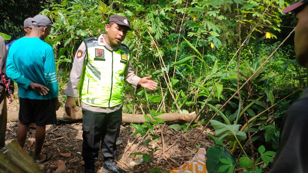 Tragis, Warga Gombong Tewas Tertimpa Pohon Kelengkeng yang Ditebang Sendiri